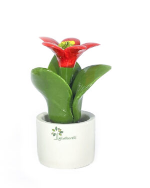 GLI ALBERELLI PIANTA NATURA STELLA DI NATALE ROSSA MIGNON