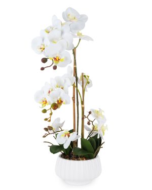 HENRIETTE PIANTA ORCHIDEA 2 RAMI CON VASO