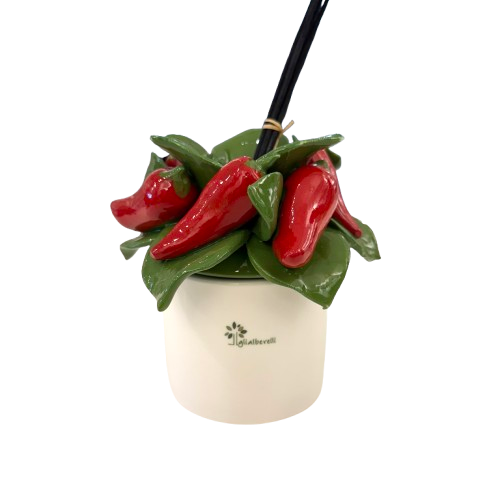 IMG_8174_2-removebg-preview