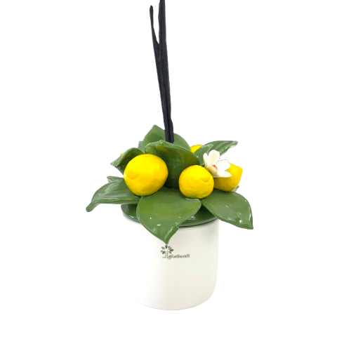 IMG_8180_2-removebg-preview