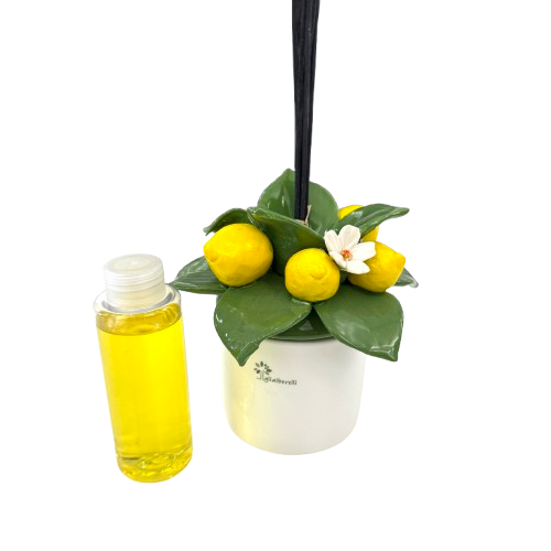 IMG_8181_2-removebg-preview