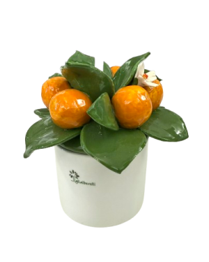 GLI ALBERELLI PROFUMATORE ARANCIE