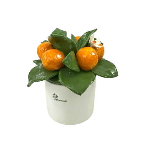 IMG_8182-removebg-preview