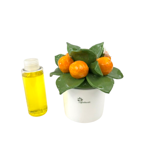 IMG_8183-removebg-preview