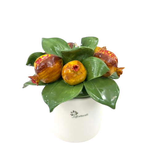 IMG_8184-removebg-preview