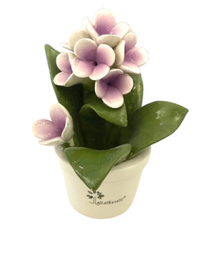 GLI ALBERELLI PROFUMOTTA ORTENSIA