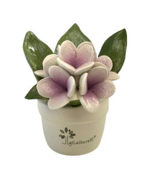 GLI ALBERELLI PROFUMINA ORTENSIA