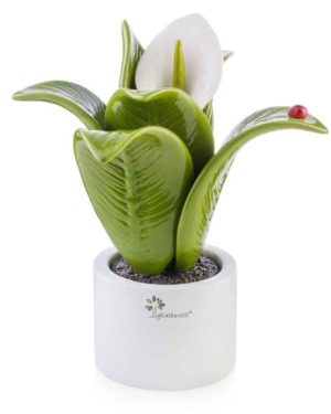 GLI ALBERELLI PIANTA MEDIA CON FIORE SPATHIPHYLLUM