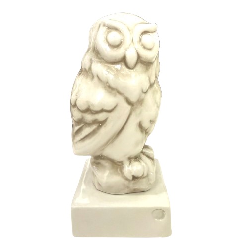 IMG_2567-removebg-preview