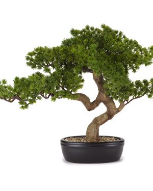 HENRIETTE BONSAI PINO CON VASO CERAMICA