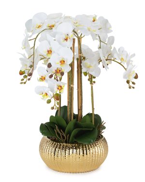 HENRIETTE PIANTA ORCHIDEA 8 RAMI CON VASO  "REAL TOUCH"