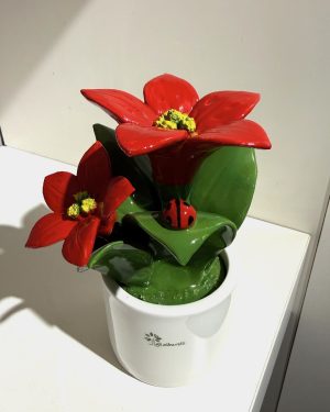 GLI ALBERELLI PIANTA NATURA STELLA DI NATALE ROSSA