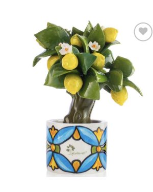 GLI ALBERELLI PIANTA LIMONI E FIORI CON BASE POSITANO