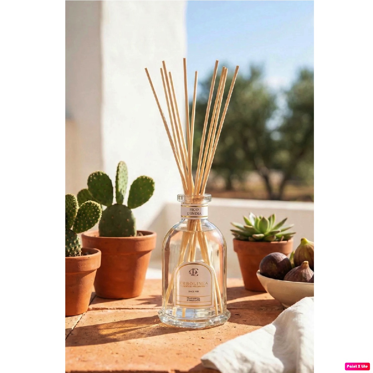 3_be649dae-aab2-477d-8fff-02e1bcf3fc45 (1) 2