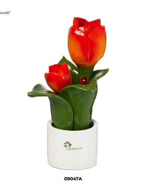 GLI ALBERELLI PIANTA NATURA TULIPANO MEDIO