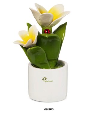 GLI ALBERELLI PIANTINA FRANGIPANE GRANDE