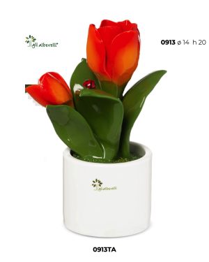 GLI ALBERELLI PIANTA NATURA TULIPANO GRANDE