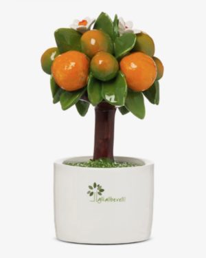 GLI ALBERELLI ALBERO ARANCE AL12