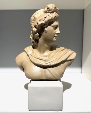 SBORDONE BUSTO APOLLO BIANCO TORTORA