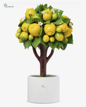 GLI ALBERELLI ALBERO LIMONI AL15