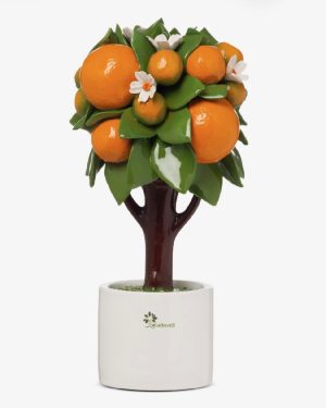 GLI ALBERELLI ALBERO ARANCE AL15