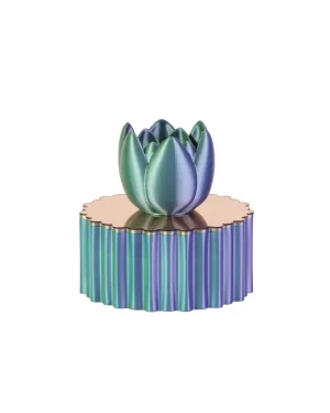 MELAVERDE PORTAGIOIE TULIP PICCOLO BOREALE