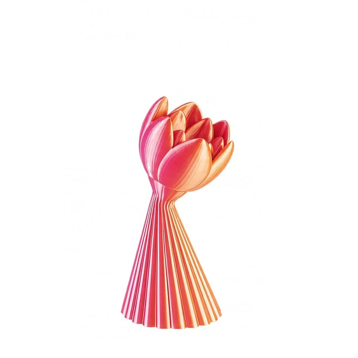 TRAMONTO TULIP